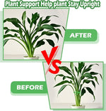 Flower Plant Stem Support Stakes Climbing Houseplant Stand Frame Plastic Garden No Stake Trellis Indoor Plant Holder Rack Hoops