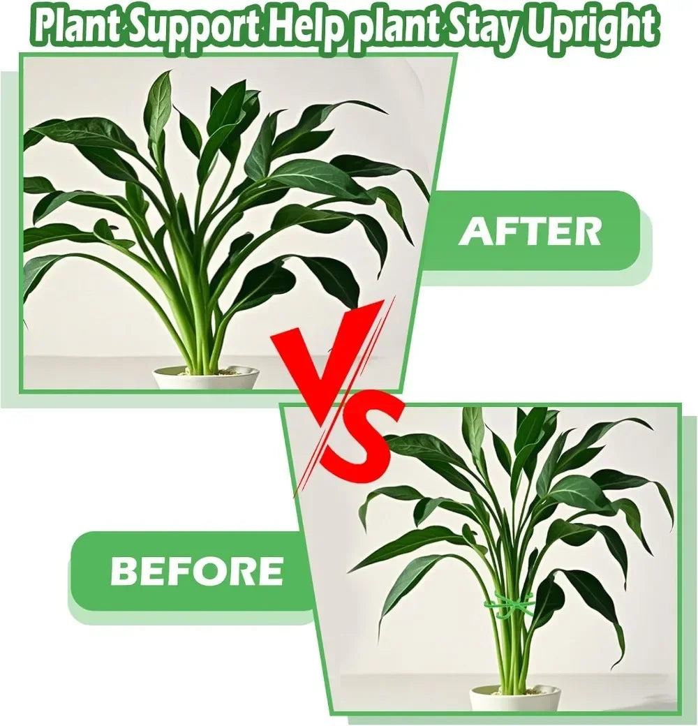 Flower Plant Stem Support Stakes Climbing Houseplant Stand Frame Plastic Garden No Stake Trellis Indoor Plant Holder Rack Hoops