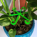 Flower Plant Stem Support Stakes Climbing Houseplant Stand Frame Plastic Garden No Stake Trellis Indoor Plant Holder Rack Hoops