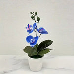 Artificial Orchid, Home/Office Decoration - Display of Living Room Dining Table, Entrance Flower Decoration, Not Easy to Fade