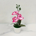 Artificial Orchid, Home/Office Decoration - Display of Living Room Dining Table, Entrance Flower Decoration, Not Easy to Fade