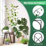Climbing Plant Trellis Plant Support Garden Stake Stand Climbing Rack Iron Flower Trellis Frame Stand Holder Garden Decor