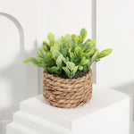 Green Artificial Plants Eucalyptus Grass Woven Small Potted Plants Grass Mound 11Cm PE Material Home Decoration
