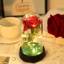 Eternal Rose Dome with LED Lights — Valentine's & Mother's Day Gif