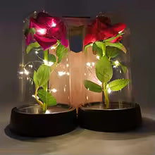 Eternal Rose Dome with LED Lights — Valentine's & Mother's Day Gif