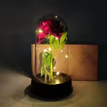 Eternal Rose Dome with LED Lights — Valentine's & Mother's Day Gif