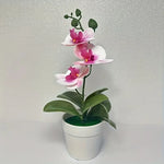 Artificial Orchid, Home/Office Decoration - Display of Living Room Dining Table, Entrance Flower Decoration, Not Easy to Fade