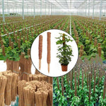 30/40/50Cm Plant Climbing Coir Totem Pole Safe Gardening Coconut Stick for Climbing Plants Vines and Creepers Plant Support