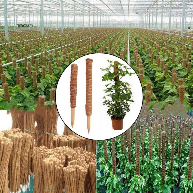 30/40/50Cm Plant Climbing Coir Totem Pole Safe Gardening Coconut Stick for Climbing Plants Vines and Creepers Plant Support