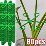 Flower Plant Stem Support Stakes Climbing Houseplant Stand Frame Plastic Garden No Stake Trellis Indoor Plant Holder Rack Hoops
