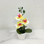 Artificial Orchid, Home/Office Decoration - Display of Living Room Dining Table, Entrance Flower Decoration, Not Easy to Fade