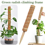 30/40/50Cm Plant Climbing Coir Totem Pole Safe Gardening Coconut Stick for Climbing Plants Vines and Creepers Plant Support
