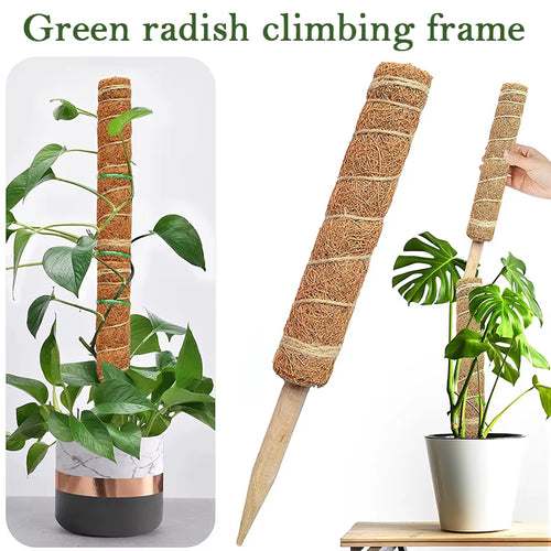 30/40/50Cm Plant Climbing Coir Totem Pole Safe Gardening Coconut Stick for Climbing Plants Vines and Creepers Plant Support